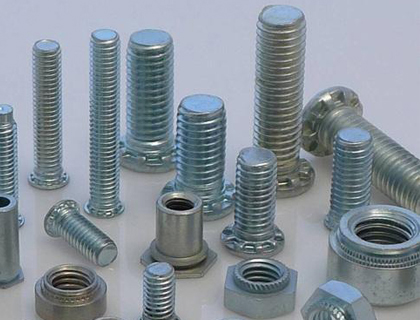 SS 310 Fasteners